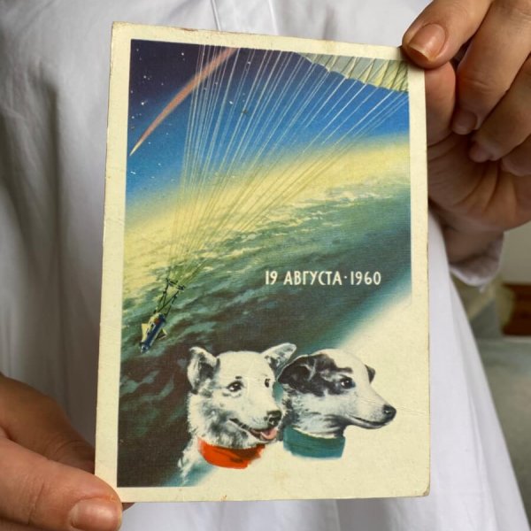 Carte Postale Belka Strelka – 1962