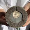 Microphone MD-41 – 1955 – Image 3