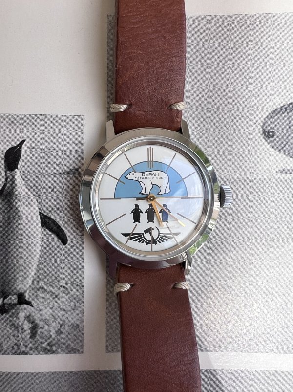 Montre Buran – Vostok – Ours Pingouin – Polaire – Image 2
