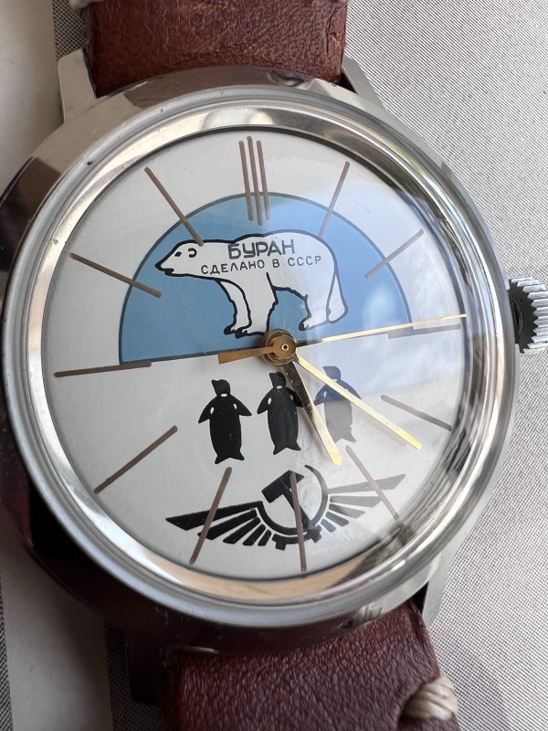 Montre Buran – Vostok – Ours Pingouin – Polaire – Image 3