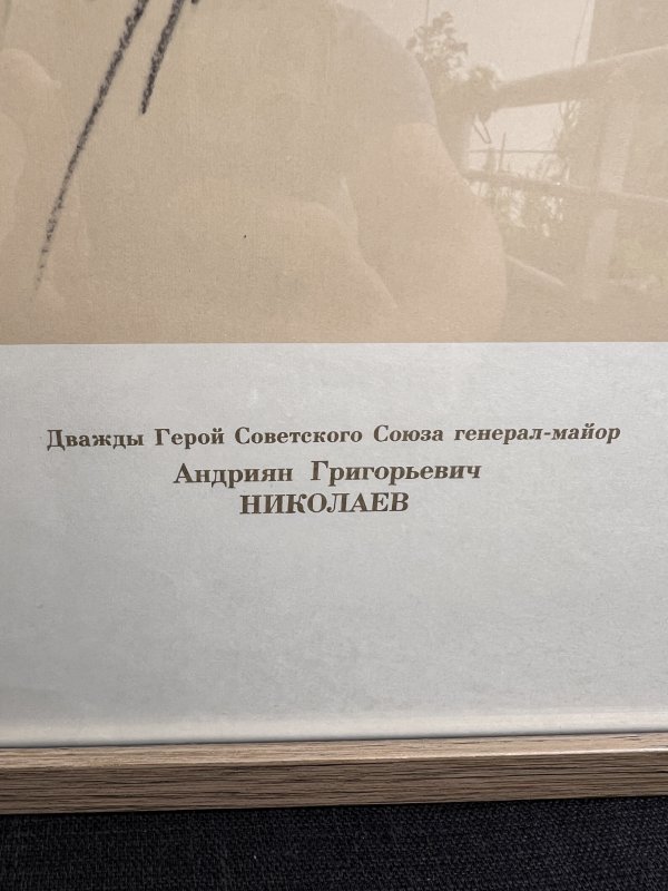 Affiche Cosmonaute – Andriyan Nikolayev – Image 2