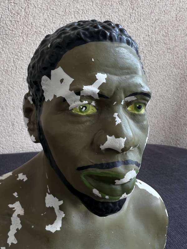 Modèle Anatomique - Homme Caraïbéen – Image 2