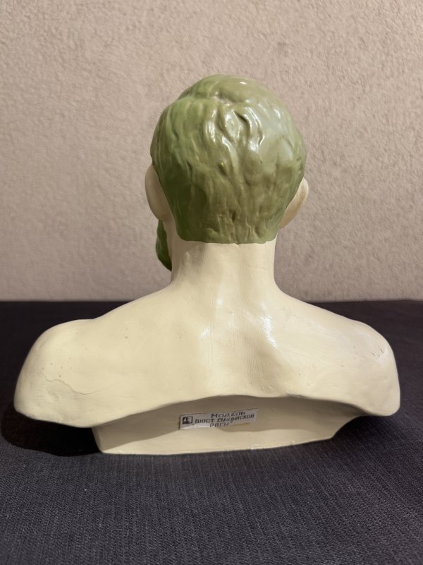 Modèle Anatomique - Homme Européen – Image 4