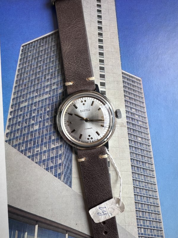 Montre Vostok Neuve Boite -Grappe de Raisin
