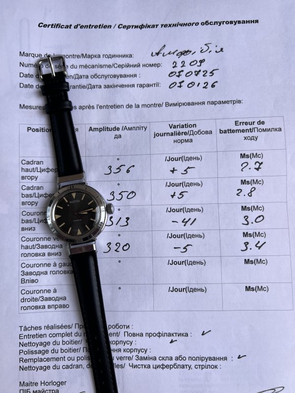 Vostok Amphibia - Pompe Pivotante - 2209 - Acier – Image 6
